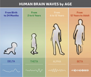 human brain waves by age